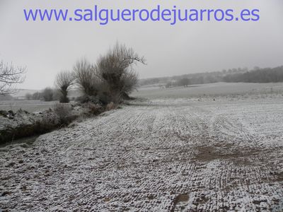 Desde el puente de la carretera de Arlazón, hacia Salgüero.
