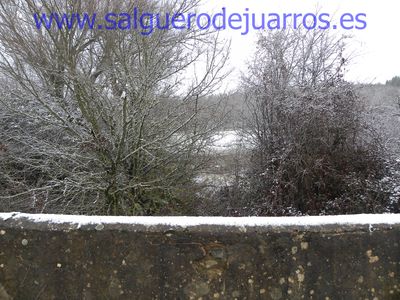 Desde el puente de Brieva, río abajo.
