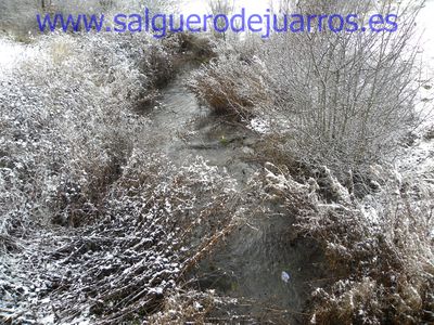 Desde el puente de Brieva, río arriba.
