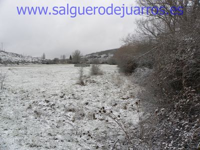 Desde el puente de Brieva, hacia Salgüero.
