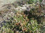 Naturaleza
