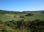 Foto46
