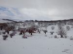 Invierno
