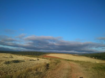 Foto50
