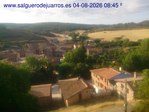 Recorre hacia atrás las últimas 24 horas
