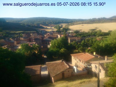 Recorre hacia atrás las últimas 24 horas
