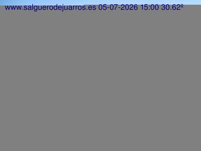 Recorre hacia atrás las últimas 24 horas
