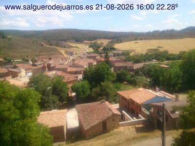 Recorre hacia atrás las últimas 24 horas

