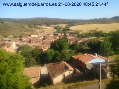 Recorre hacia atrás las últimas 24 horas
