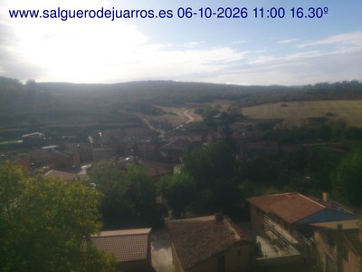 Recorre hacia atrás las últimas 24 horas
