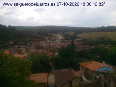 Recorre hacia atrás las últimas 24 horas
