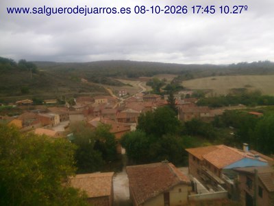 Recorre hacia atrás las últimas 24 horas

