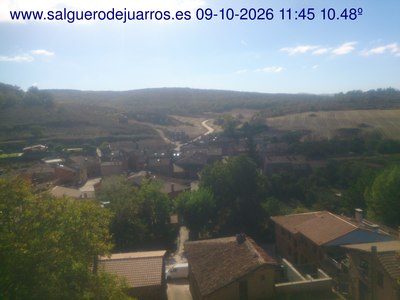 Recorre hacia atrás las últimas 24 horas
