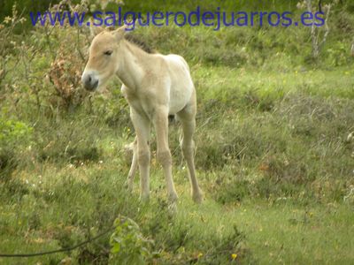 Primer plano
